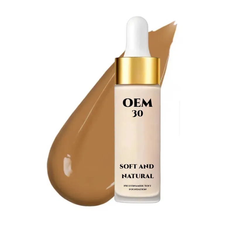 Soláthraí Fondúireachta Leachtacha Ard-Chlúdaigh|Táirgeadh Deimhnithe ISO 22716